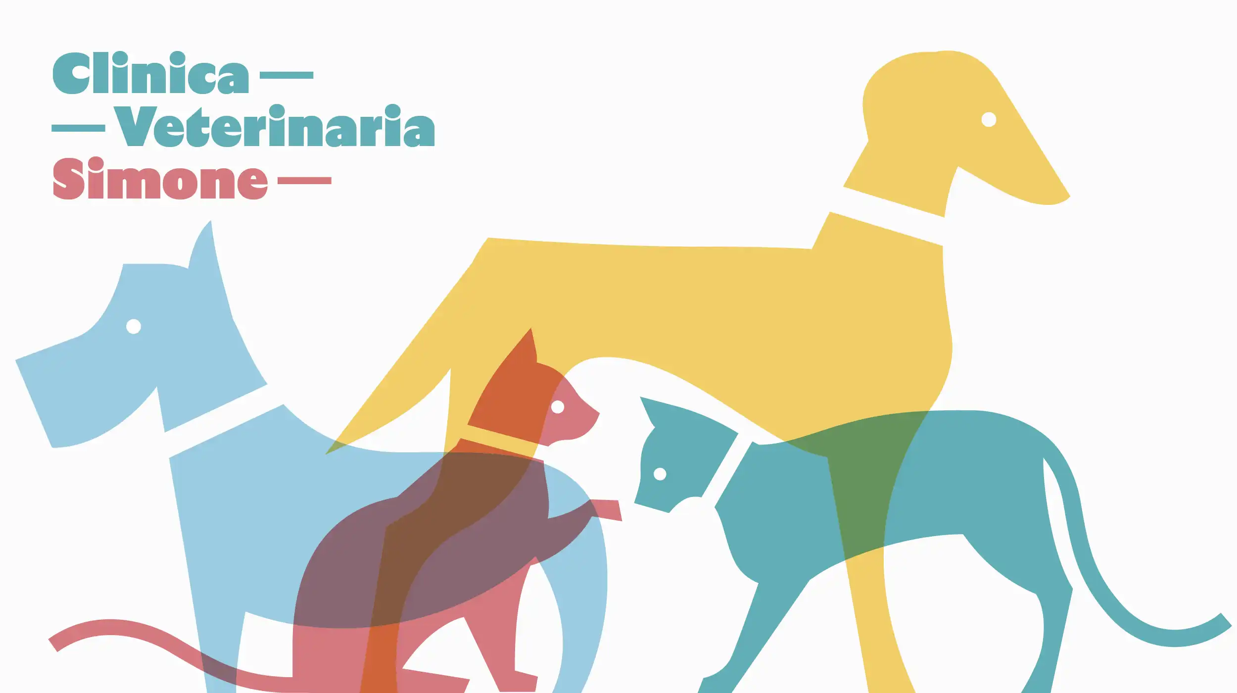 Clinica Veterinaria Simone