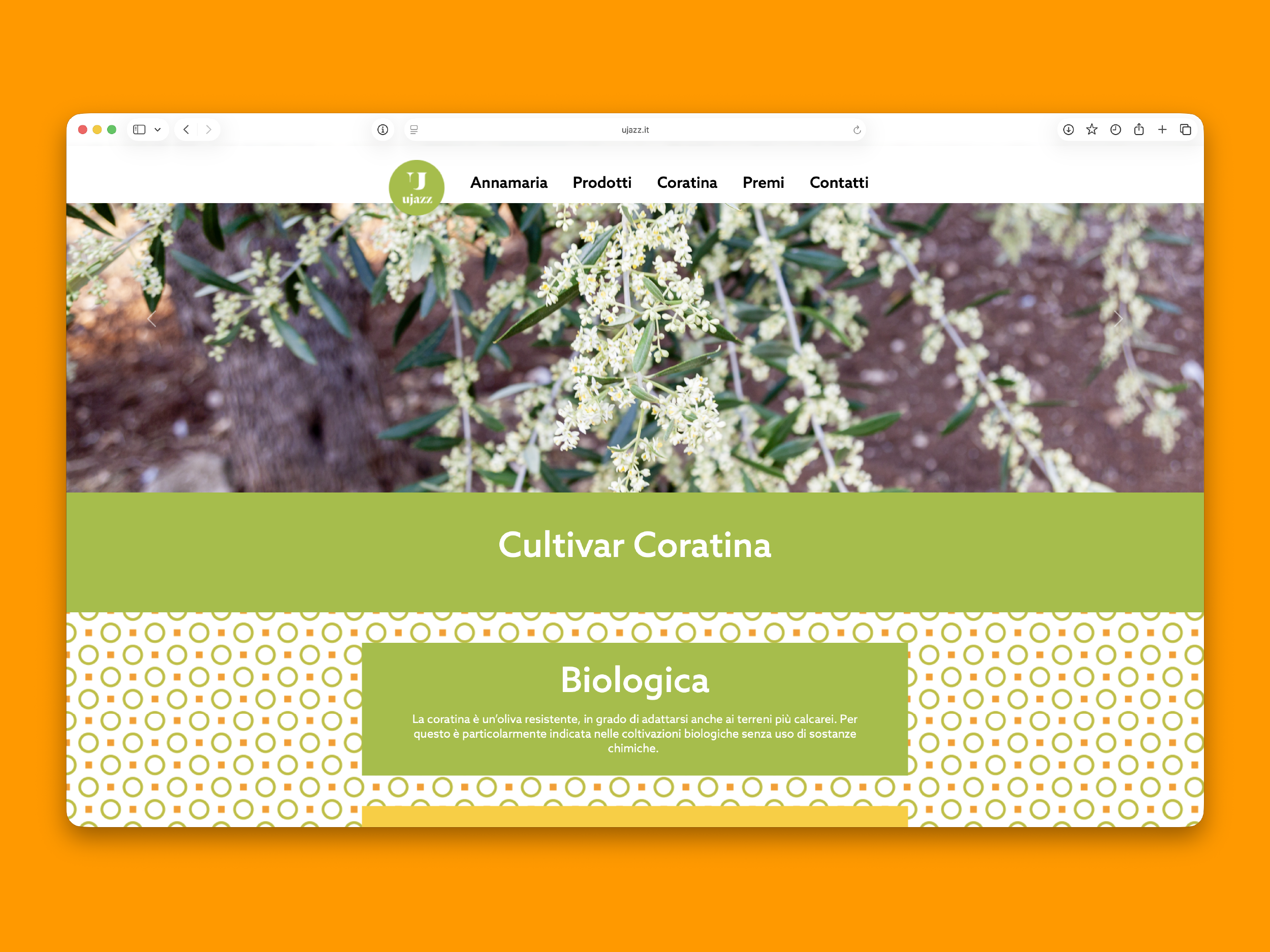 Sito web ujazz, coratina